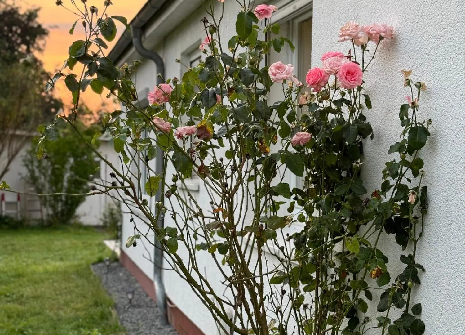 Ferienhaus Bremen Wunder-Grill-Relax Garten Βίλα 0*,  Γερμανία